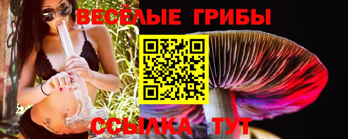 Галлюциногенные грибы мицелий Менделеевск