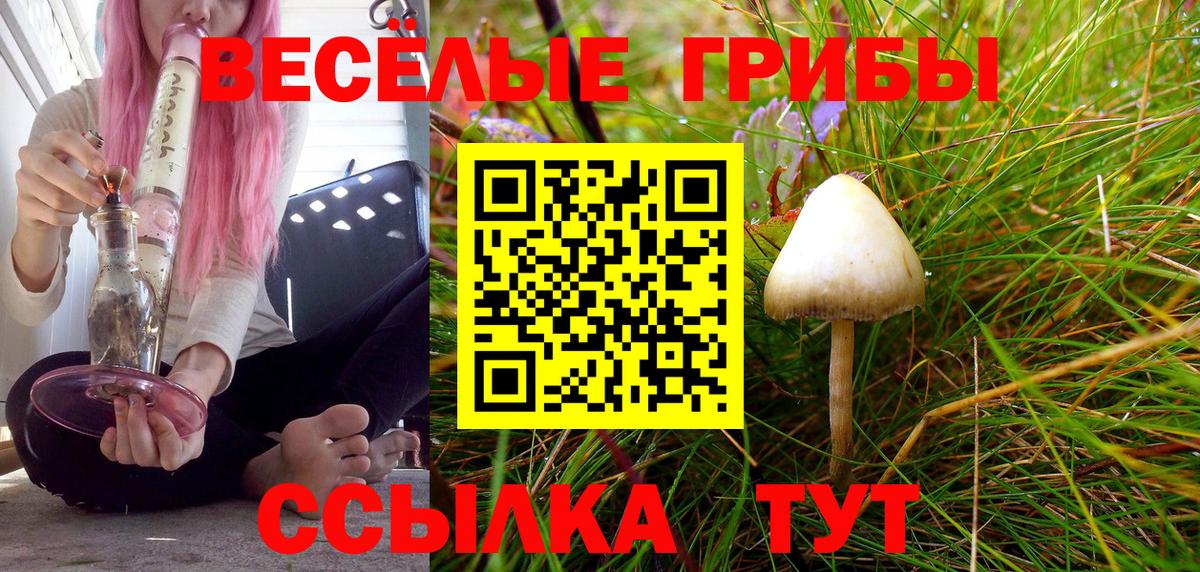 Галлюциногенные грибы мухоморы  Галлюциногенные грибы GOLDEN TEACHER  Менделеевск  Вход с VPN 